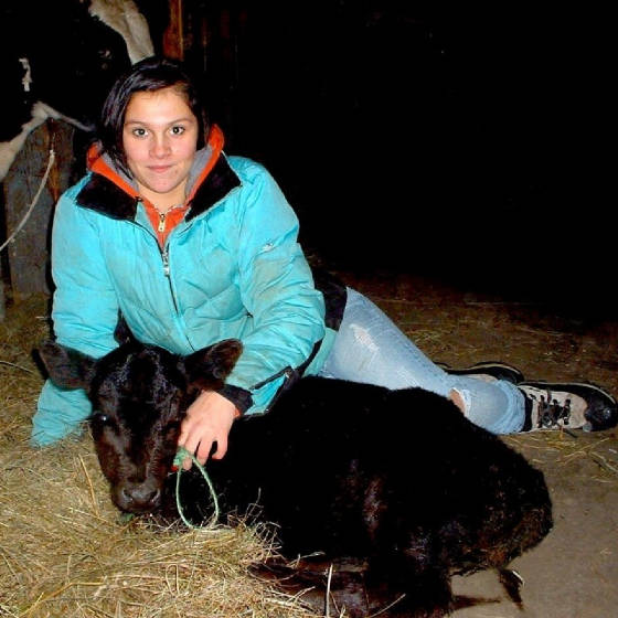 cropped_calf_with_person.jpg