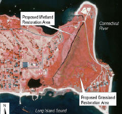 lynde_point_restoration_map.jpg