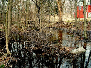dscf0027.jpg