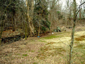 dscf0043.jpg