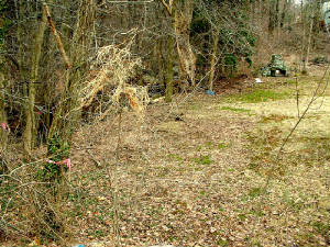 dscf0046.jpg